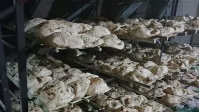 تحرير 23 مخالفة تموينية خلال حملات رقابية بمركز ديرمواس في المنيا