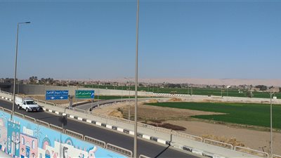 تزامنًا مع العاصفة هبة.. شمس ساطعة ومناخ معتدل في سوهاج | فيديو وصور