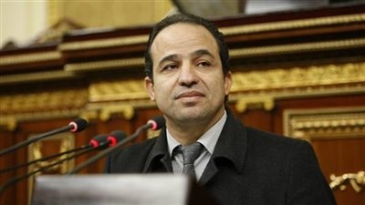 النقض تسمح لـ محمد إسماعيل بالحصول على صورة رسمية من الأوراق الانتخابية لـ دائرة بولاق الدكرور