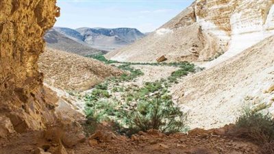 به مناظر منحوتة على الصخر.. تعرف على موقع آثار كهف وادي الظلما