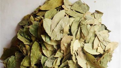 تعرف على فوائد مسحوق ورق السدر في إطالة الشعر والتمتع ببشرة نضرة