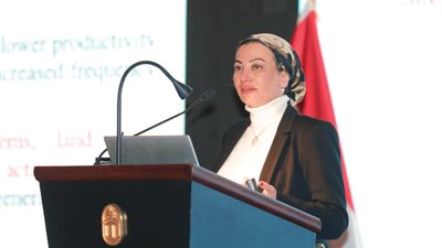 وزيرة البيئة: مصر تمر بمرحلة هامة في بناء الشراكات الاستراتيجية لدعم التحول الأخضر 