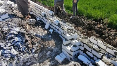 رفع 80 طن قمامة وإزالة تعديات على أراضي الدولة بالمنيا