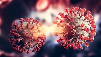 الصحة: تسجيل 1651 إصابة جديدة.. واكتشاف حالات كورونا في دورة الألعاب الأولمبية | بث مباشر