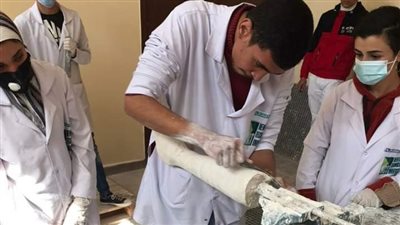 جامعة القاهرة التكنولوجية تواصل التدريب العملي لطلابها بالهيئة العامة للمستشفيات التعليمية