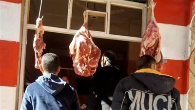 تحرير 27 محضر بيئي وتمويني بسوهاج | صور 