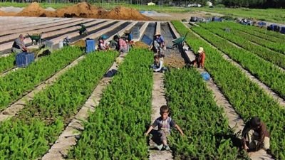 الزراعة تكشف حقيقة رفض روسيا تسلم شحنات ملح مصرية | خاص