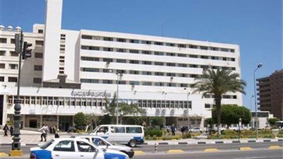 26 فبراير.. الحكم في 214 دعوى لعودة الحصص الاستيرادية الملغاة ببورسعيد