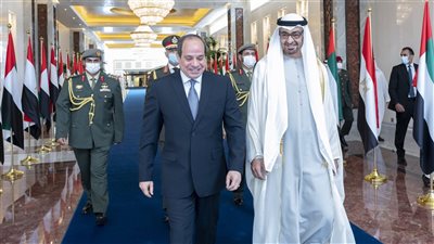 محمد بن زايد: لقائي مع السيسي في أبو ظبي تناول بحث سبل استقرار المنطقة