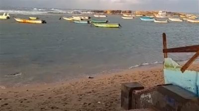 بث مباشر| ارتفاع الأمواج يصل إلى 4 أمتار.. توقف سفن ومراكب الصيد بسبب الطقس السيئ بالإسكندرية