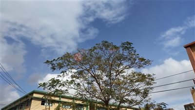 نشاط رياح وأجواء غير مستقرة في الفيوم.. والصُغرى 10 درجات