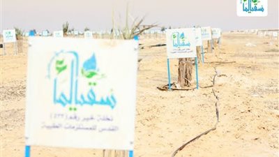 سرقوا النخل وفلوس التبرعات.. كيف استولى مسئولو سقيا الماء على 21 مليون جنيه من أموال المؤسسة؟ | تحقيقات