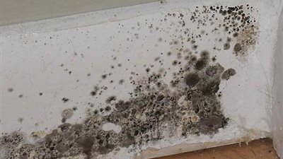 كيفية التخلص من التكاثف على النوافذ وتجنب العفن الأسود.. خبير يوضح 