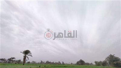 طقس بارد نهارًا وشديد البرودة ليلا بالفيوم.. والصُغرى 4 درجات
