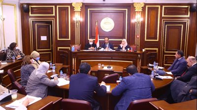 نسعى لتطبيق حوافز إيجابية للحد من الزيادة السكانية.. أبرز تصريحات وزيرة التضامن بمجلس الشيوخ 