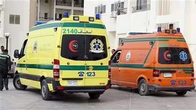 كلب يعقر شخصا بقرية بطوخ في القليوبية