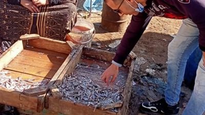 غلق وتشميع 30 منشأة وإعدام أكثر من طني أغذية فاسدة بالشرقية