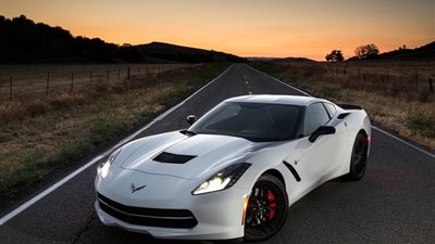 سيارة شيفروليه كورفيت و40 ألف دولار مكافأة للعثور على كلب مفقود | أخبار السيارات