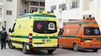 مصرع شاب صعقًا بالكهرباء في الإسماعيلية 