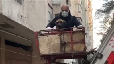 مشهد بطولي لأهالي المعادي.. إنقاذ كلبين بعد حبسهما بشرفة أحد المنازل لمدة أسبوع | فيديوجراف