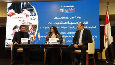 قانون تنمية المشروعات الجديد سيتيح قروضا حتى 500 ألف جنيه للمشروعات متناهية الصغر