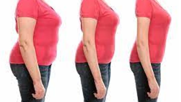 أنواع الأجسام