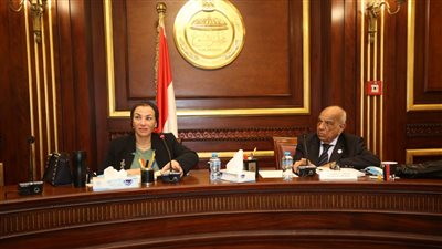 وزيرة البيئة: تغير المناخ ملف مشترك بين دول العالم وهناك تأثر بقطاعي الزراعة والسياحة