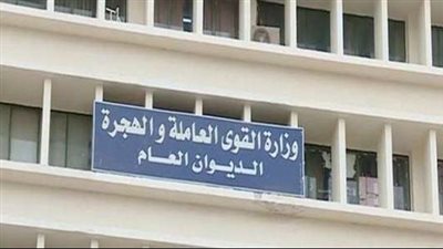 القوى العاملة: توفير 120 فرصة عمل برواتب مجزية ببورسعيد