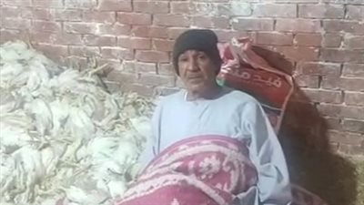 موت وخراب بيوت.. مُربي دواجن بكفر الشيخ يستغيث: نفوق 70% من القطيع وأصيبت بجلطة | بث مباشر