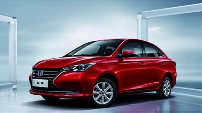 ارتفاع أسعار شانجان ألسفن وسط شكاوى التجار من ضعف مبيعاتها