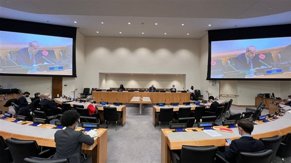 مصر تختتم رئاسة لجنة