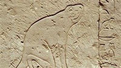  تتخذ شكل ضفدع.. من هي المعبودة حقات في مصر القديمة؟