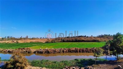 ارتفاع تدريجي في درجات الحرارة بالفيوم.. والعُظمى تُسجل 18