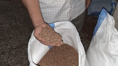 أطنان من الملح والسمسم مجهولي المصدر.. ضبط مسئول عن مصنع حلويات بالقاهرة