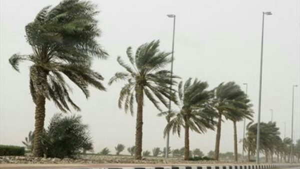 رياح شديدة - صورة