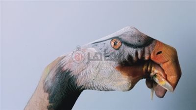 مينا ماهر.. مبدع في رسم الطيور والحيوانات على اليد وشارك في تزيين مدينة جرجا بسوهاج | صور وفيديو