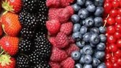 يحسن مستوى السكر في الدم.. تعرف على فوائد تناول التوت