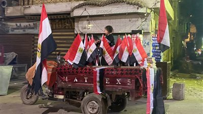 الأعلام المصرية تزين شوارع الدقهلية قبل دقائق من مباراة نهائي إفريقيا