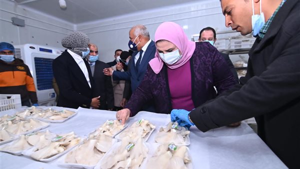 نيفين القباج وزيرة