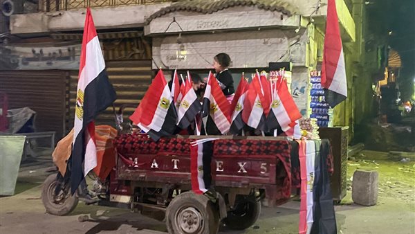 انتشار الأعلام المصرية