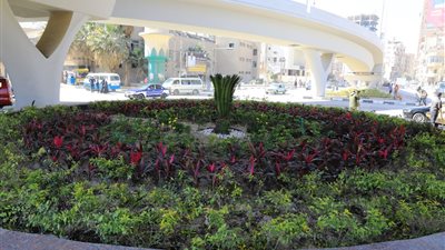 محافظ سوهاج يتابع أعمال تجميل منطقة ميدان الثقافة | صور