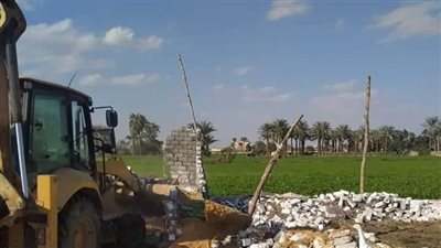 متحدث الزراعة: التعدي على الأراضي الزراعية جريمة مخلة بالشرف