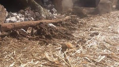 ري المنيا: استمرار إزالة التعديات داخل قرى ومدن المحافظة