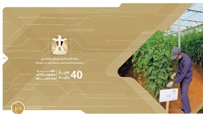117 % اكتفاء ذاتي في الخضراوات والفاكهة.. ماذا حقق قطاع الزراعة في مصر خلال 7 سنوات؟