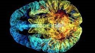 علماء يكتشفون دور بروتين بالمخ يتحكم في الذاكرة والتوحد