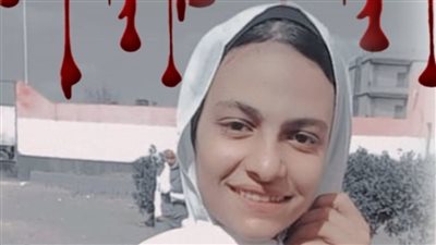 السجن من 6 إلى 10 سنوات للمتهمين في واقعة ابتزاز الطفلة هايدي بالشرقية