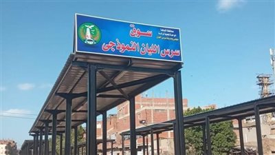 الأبنية التعليمة بالمنوفية تكشف حجم المشروعات الاستثمارية المشاركة فيها بالمحافظة