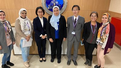 ألسن عين شمس تعلن تشغيل قاعاتها الإلكترونية للامتحانات الدولية