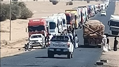 بعد احتجازهم أكثر من 20 يومًا.. عودة شاحنات مصرية فارغة وسائقيها من شمال السودان | خاص