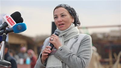 وزيرة البيئة تناقش سبل التعاون الثنائي في تكنولوجيا الوقود مع شركة بيكر هيوز العالمية للطاقة 